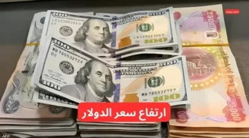 سعر الدولار اليوم السبت 25/10/2025 بالعراق.. تابع 100 دولار هسه